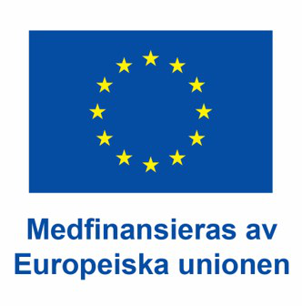 EU-flaggan på svenska 50.png