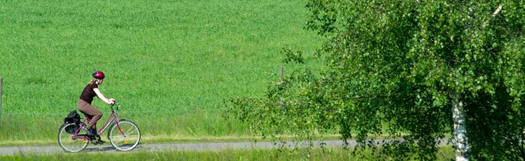 En person cyklar på en väg med grönt fält i bakgrunden