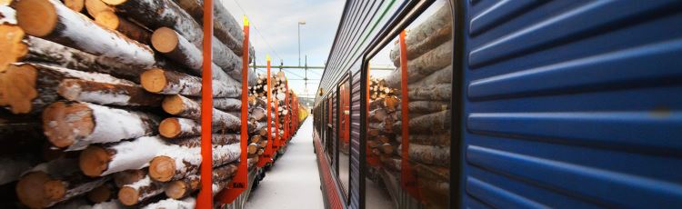Persontåg bredvid godståg lastat med timmerstockar