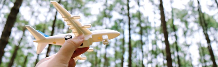 hand som håller i ett leksaksflygplan, skog i bakgrunden