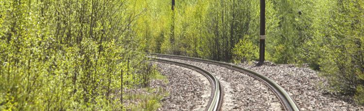 Järnvägsspår, grön vegetation
