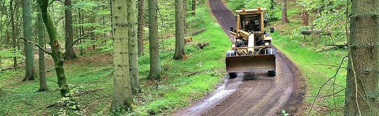 Traktor som kör på skogsväg. Foto: Hans Svensson, Mostphotos