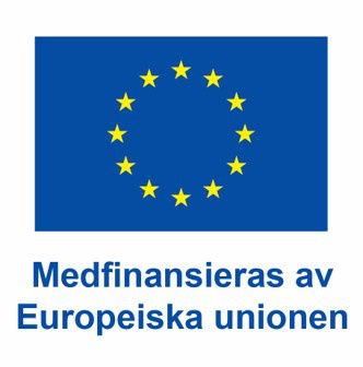 EU-flaggan 11.jpg