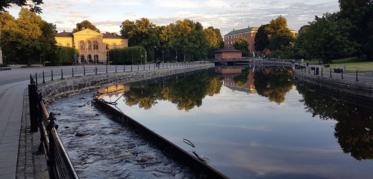 Faunapassage Turbinbron mot slottet