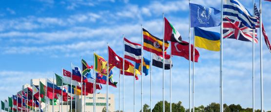 Flags for different countries together, blue sky