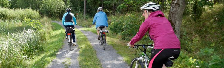 Tre cyklister cyklar på en grusväg intill skogen. 