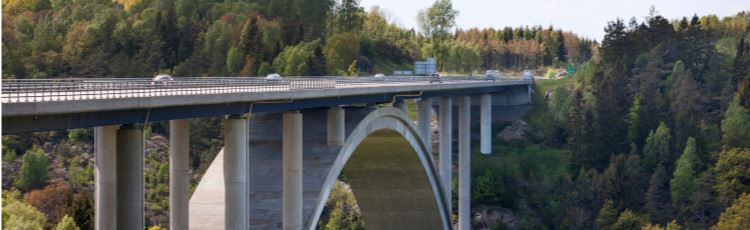 Hög bro med biltrafik, grön skog i bakgrunden