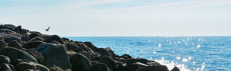 blått gnistrande hav med vågor som slår mot klipporna och en fågel som skymtar vid horisonten. 