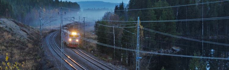 Godståg på järnvägen med gula strålkastare, åker genom en skog en dimmig morgon
